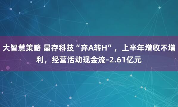 大智慧策略 晶存科技“弃A转H”，上半年增收不增利，经营活动现金流-2.61亿元
