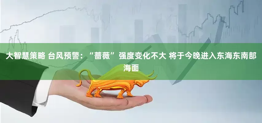大智慧策略 台风预警：“蔷薇” 强度变化不大 将于今晚进入东海东南部海面